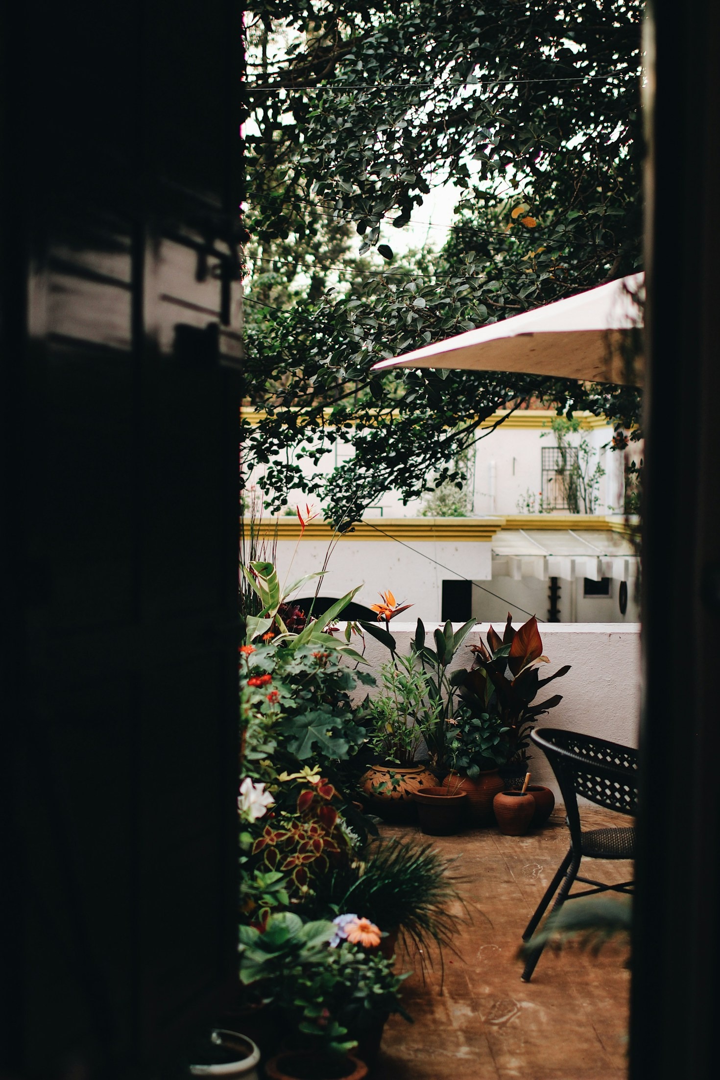 Kaskady i oczka wodne — piękno natury w Twoim ogrodzie